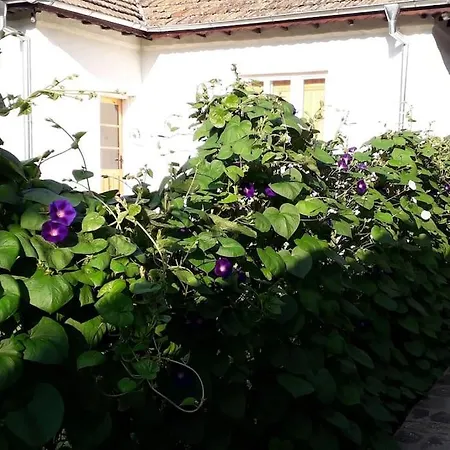 Popovo Targovhiste Bulgarije Holiday home Lomtsi