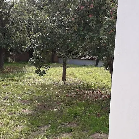Popovo Targovhiste Bulgarije * Lomtsi