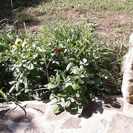 Holiday home Popovo Targovhiste Bulgarije *