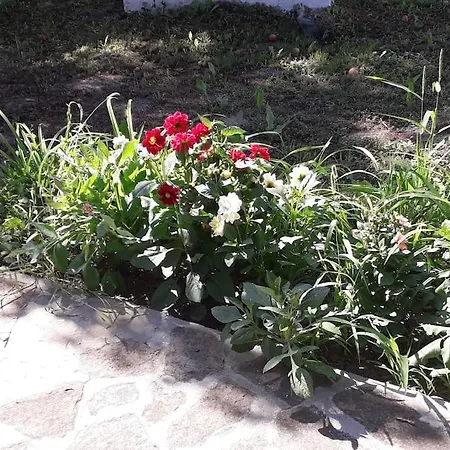 Holiday home Popovo Targovhiste Bulgarije *